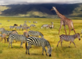 The Ultimate Guide to Planning a Tanzania Trip